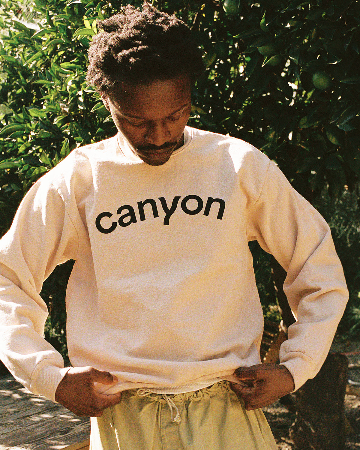 Canyon Sweatshirt in Cream