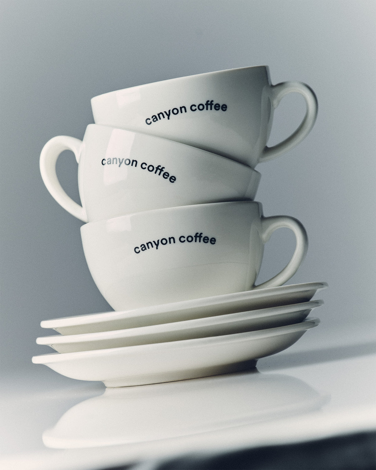 Canyon Cup and Saucer