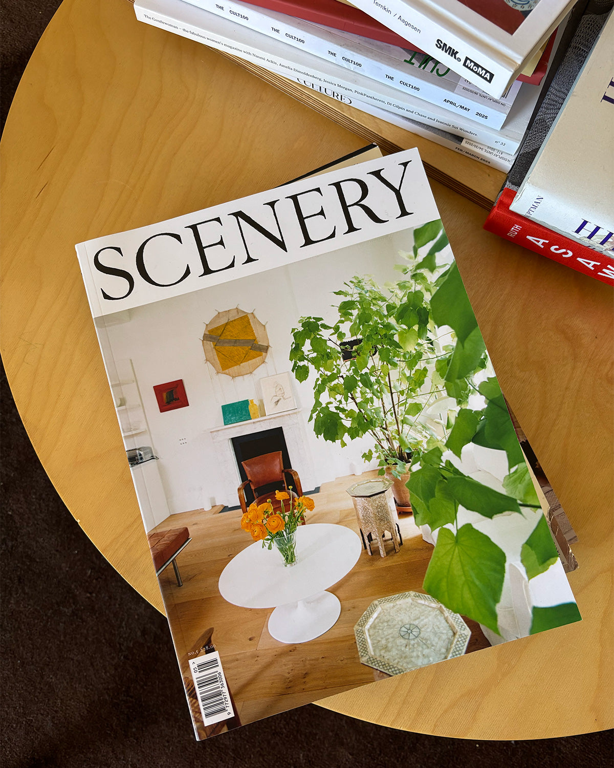 Scenery Issue 5