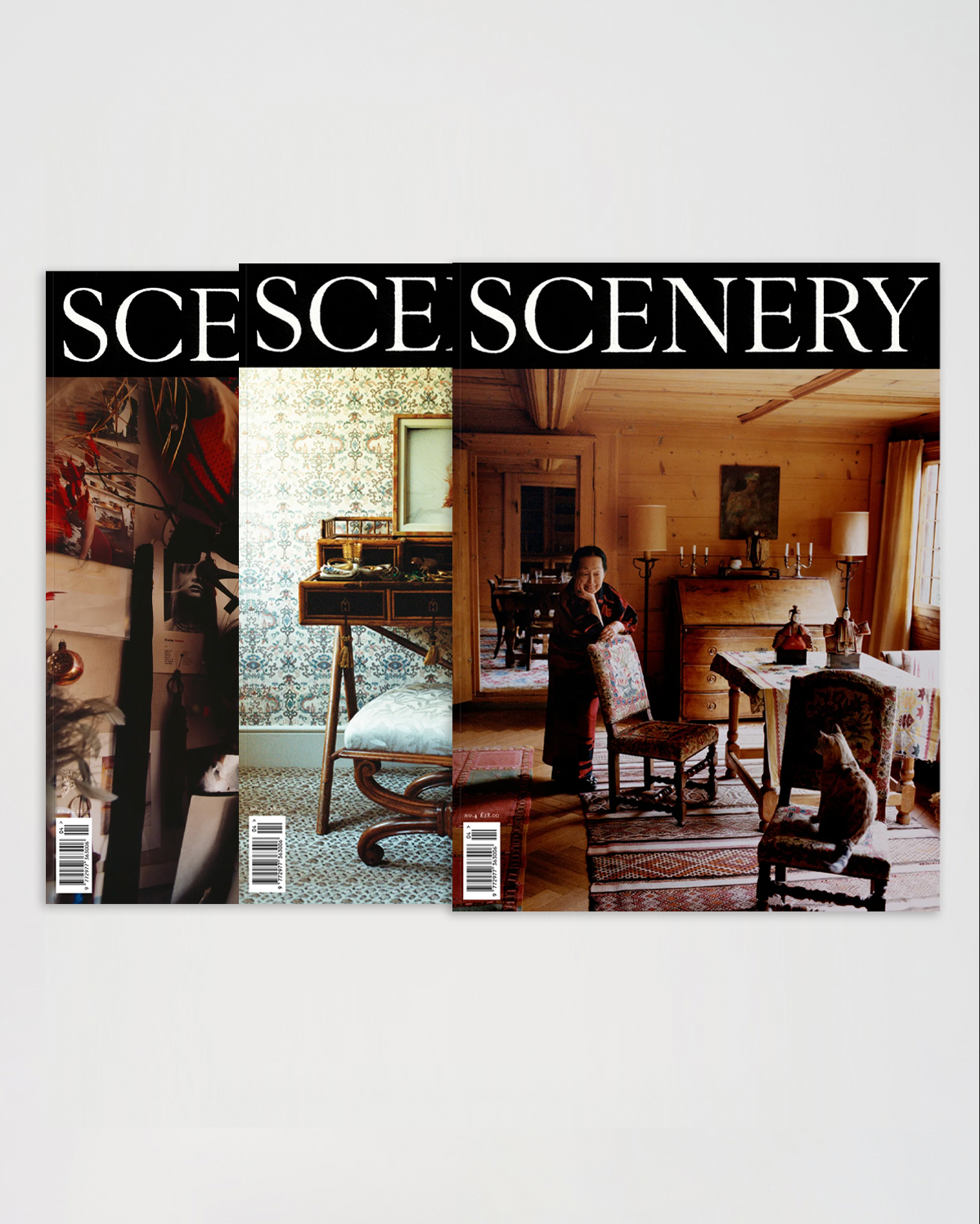 Scenery Issue 4