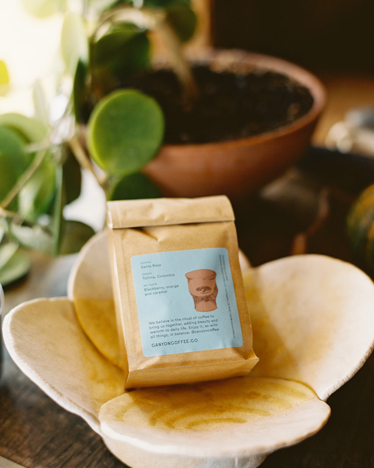 JB Blunk x Canyon Coffee