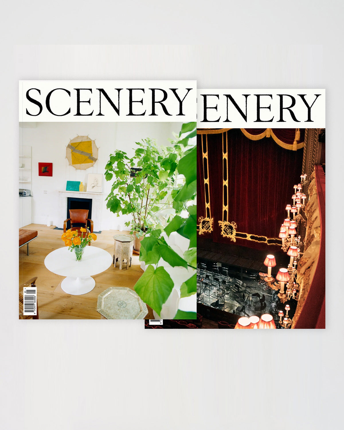 Scenery Issue 5